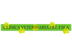 C.V.-Esla