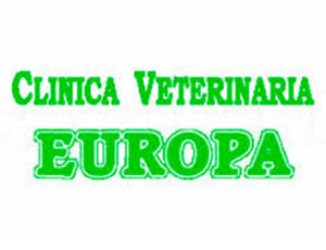 C.V.-Europa