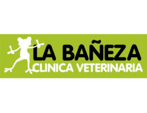 C.V.-La-Bañeza