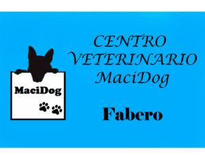 C.V.-Macidog