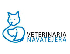 C.V.-Navatejera