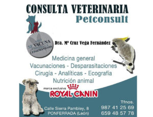 C.V.-Pet-Consult