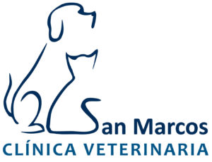 C.V.-San-Marcos