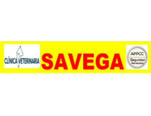 C.V.-Savega