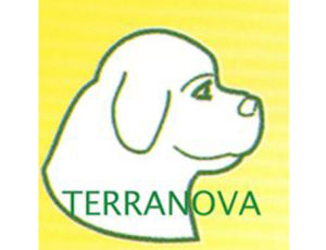 C.V.-Terranova