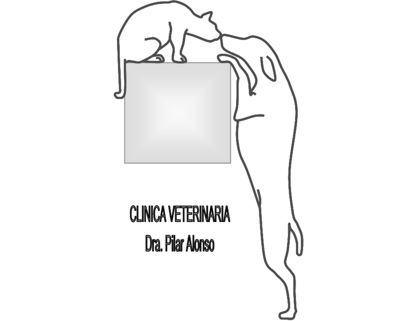 C.V. Pilar Alonso