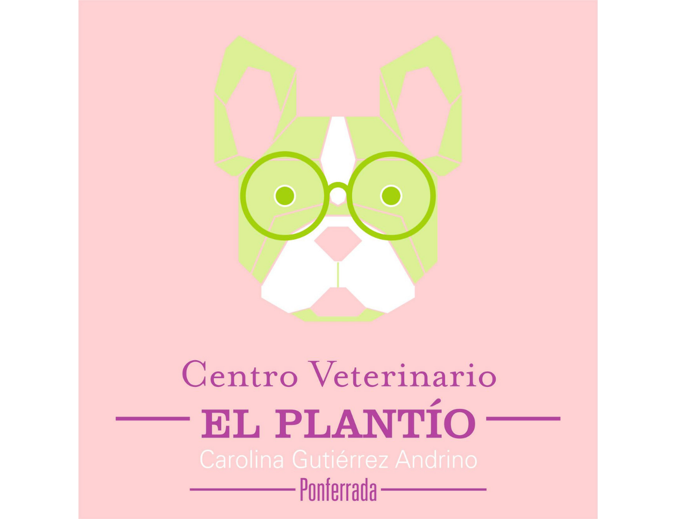 C.V. El Plantio