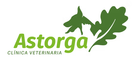 logo cv astorga